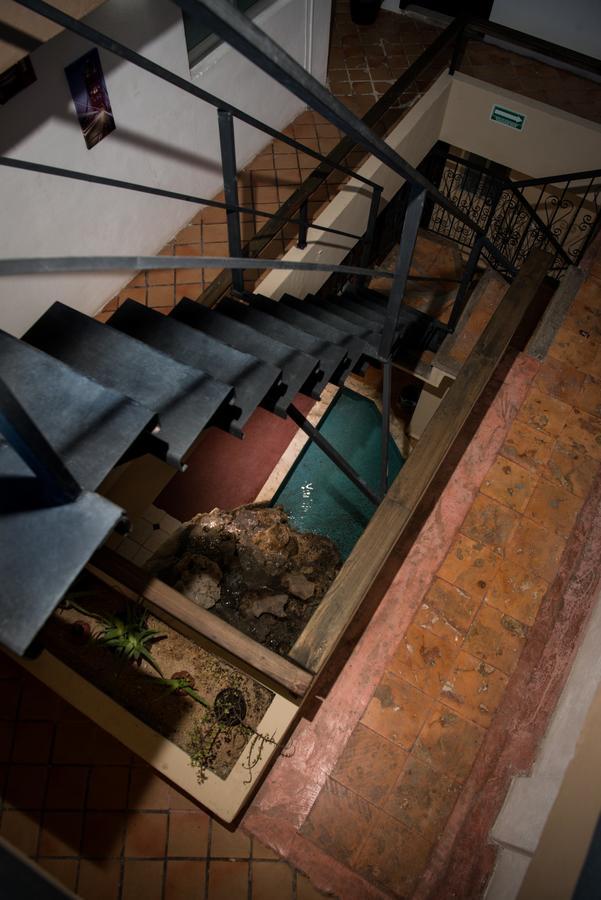Deja Hostel Плайя-дель-Кармен Екстер'єр фото